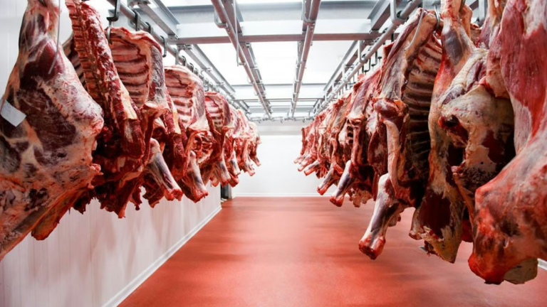 carne-exportacion-corte-industria-frigorifico-3-minjpg