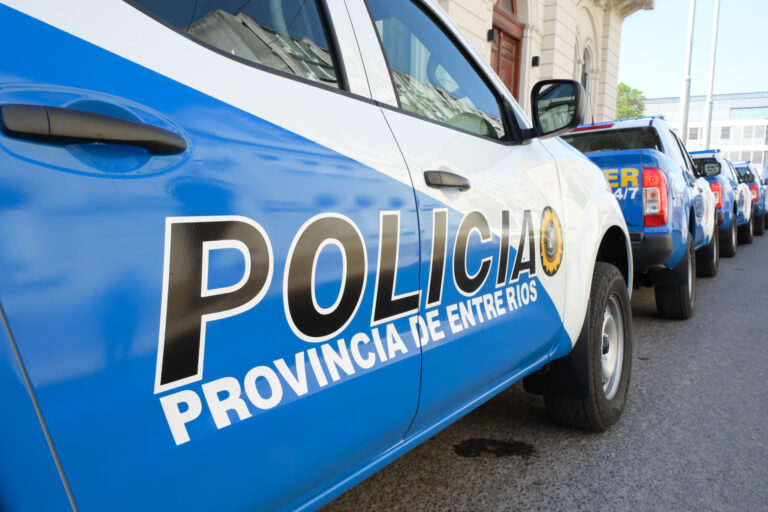 pol1 (1)