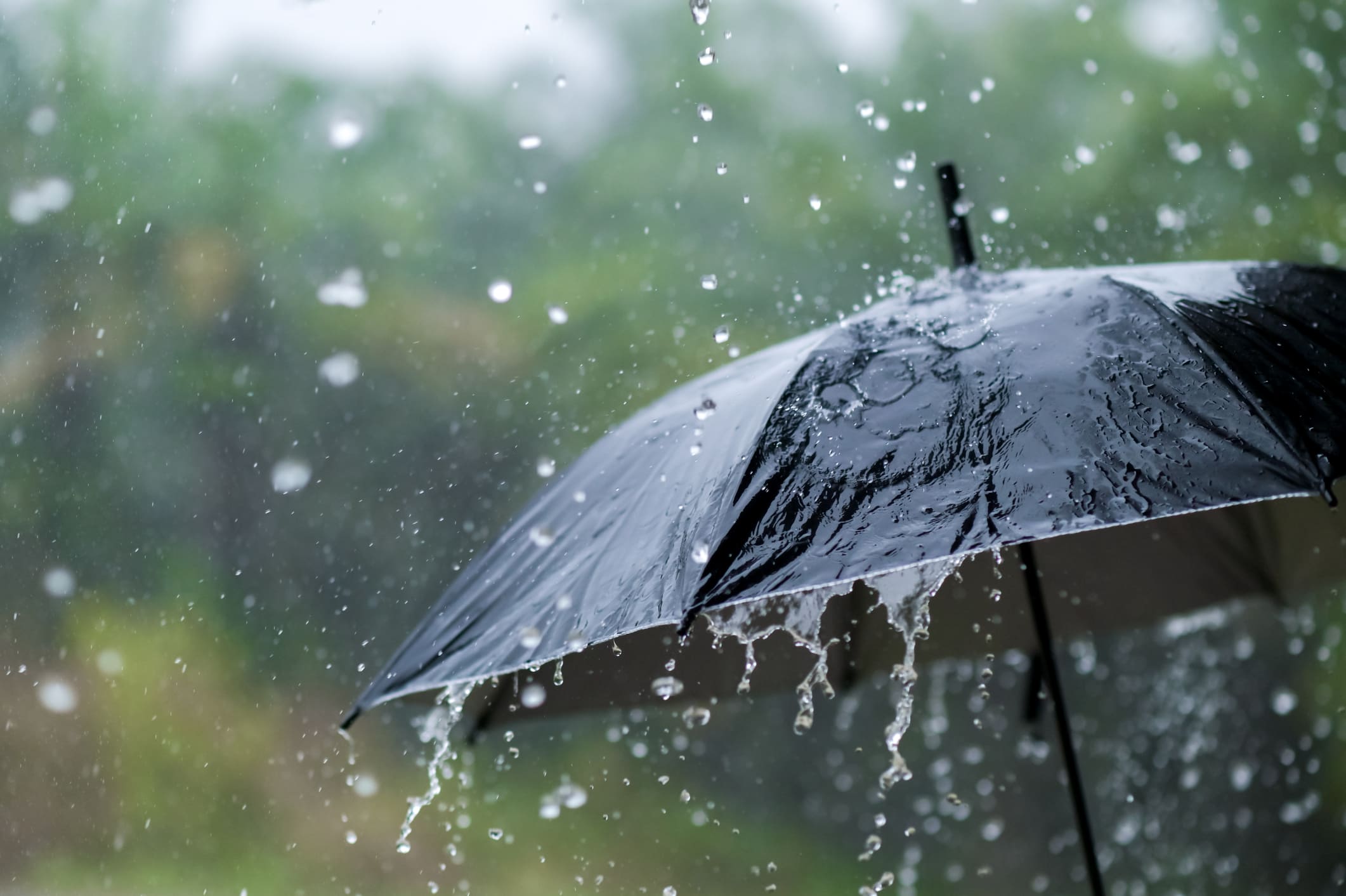 lluvia (1)